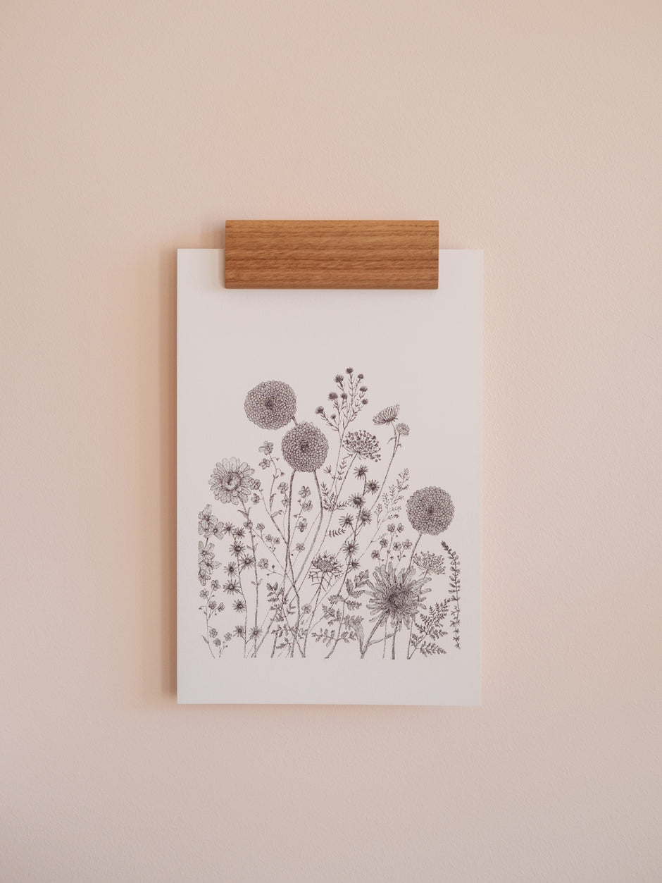 Affiche illustration fleurs des champs