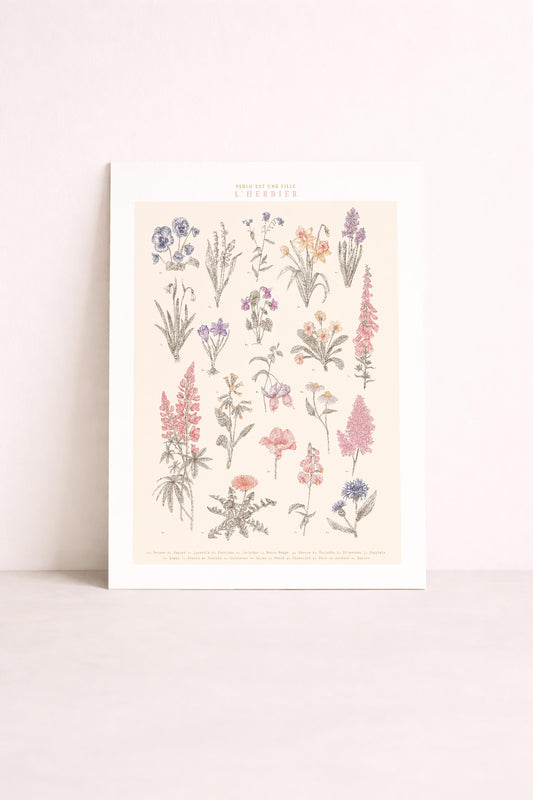 Affiche herbier dans des couleurs pastels