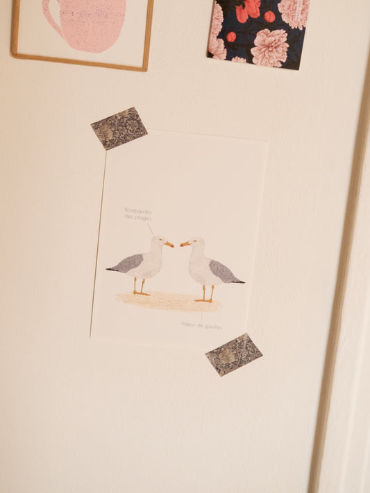 Carte postale humoristique goélands bord de mer