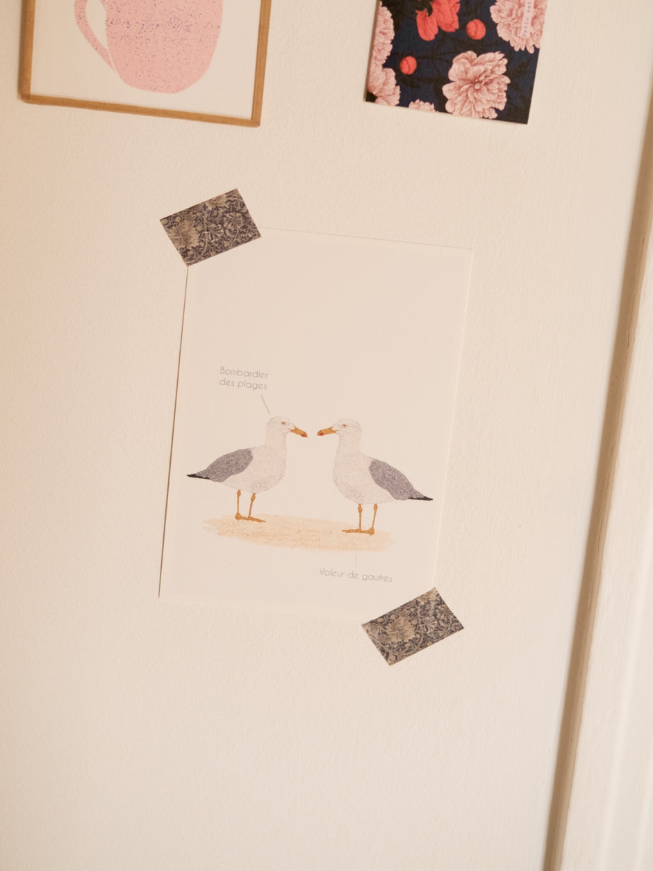Carte postale humoristique Goélands – illustration bretonne, vendue avec enveloppe, imprimée en France