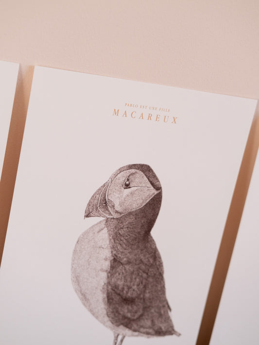 Affiche macareux noir et blanc