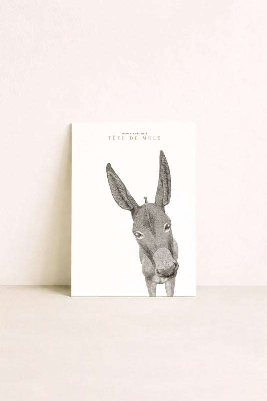 Affiche Ane, déco chambre d'enfant