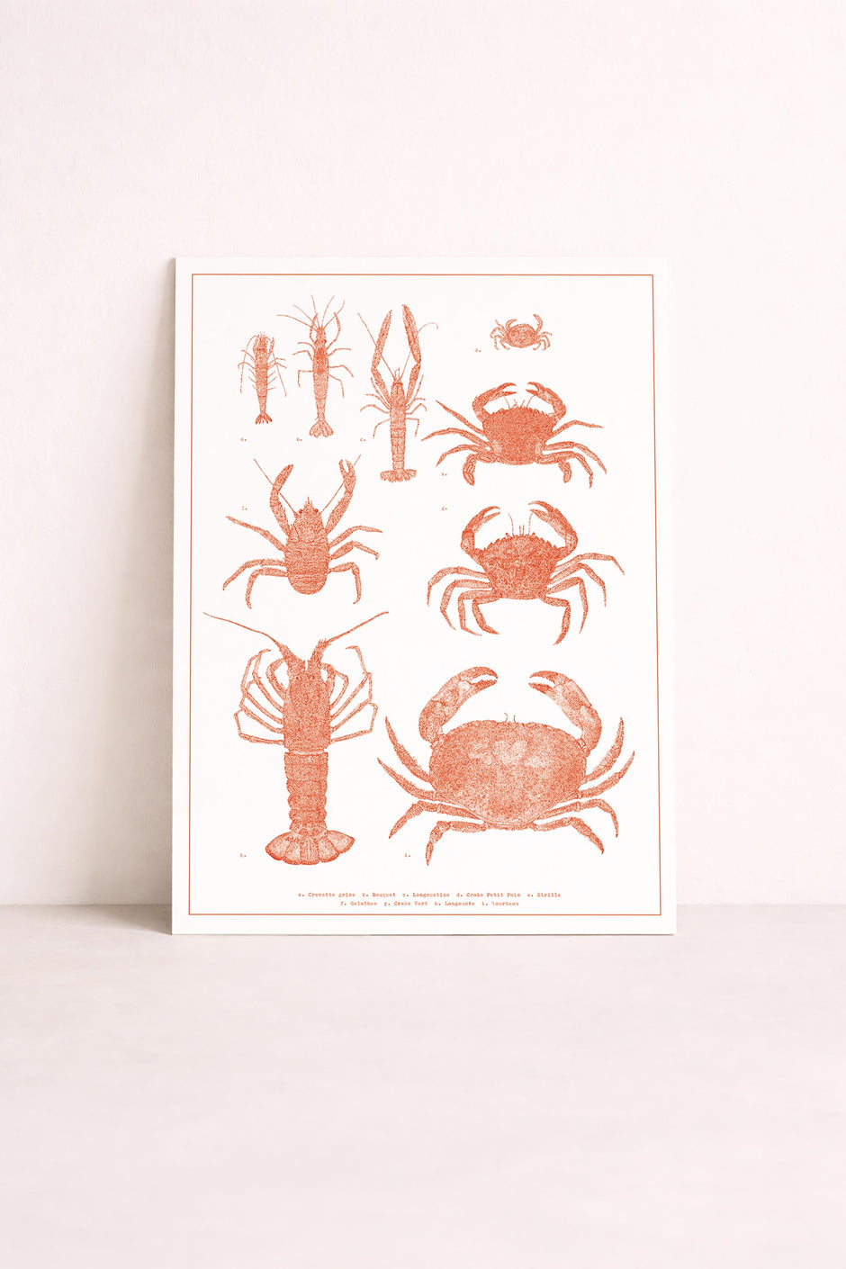 Sérigraphie crustacés format 30x40cm – homards et crabes illustrés | Pablo est une fille
