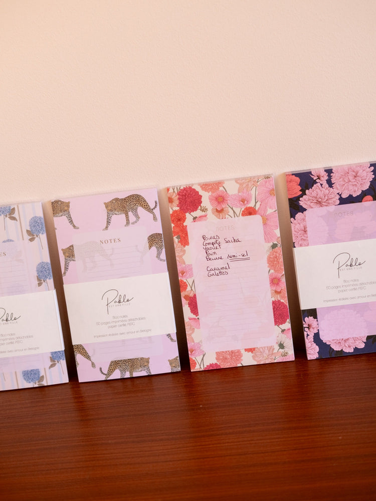 Bloc-notes et papeterie illustrée – collection pro Pablo est une fille