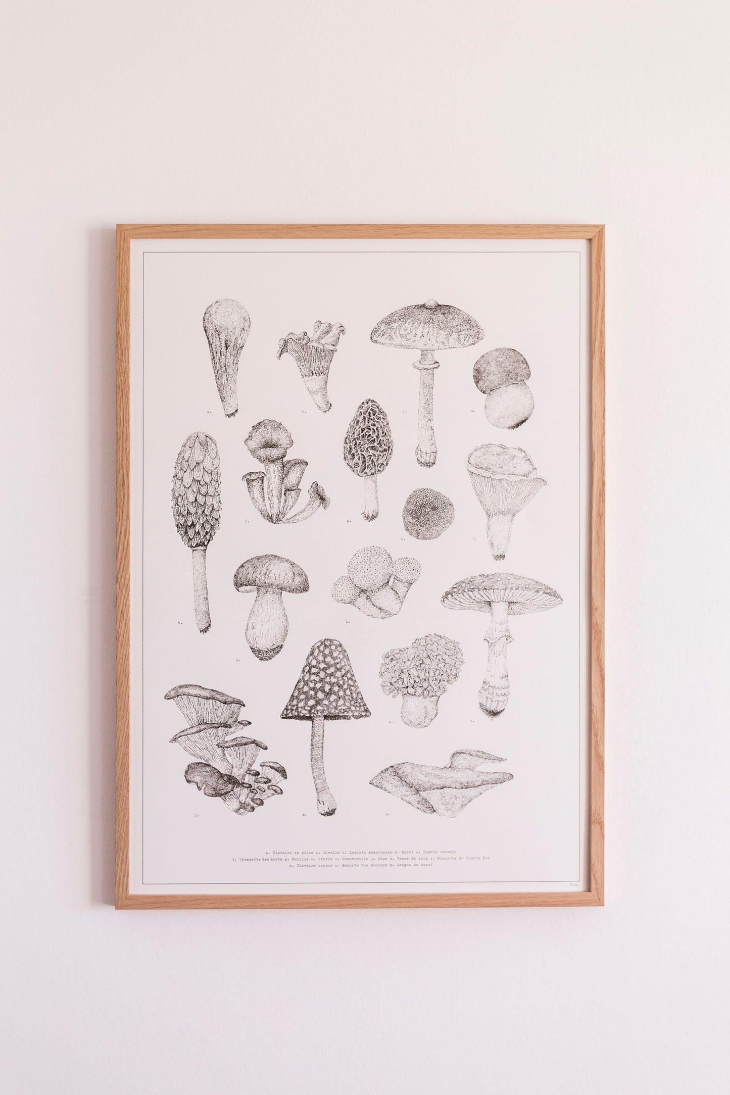 Champignons - Sérigraphie 30x40 & 50x70cm