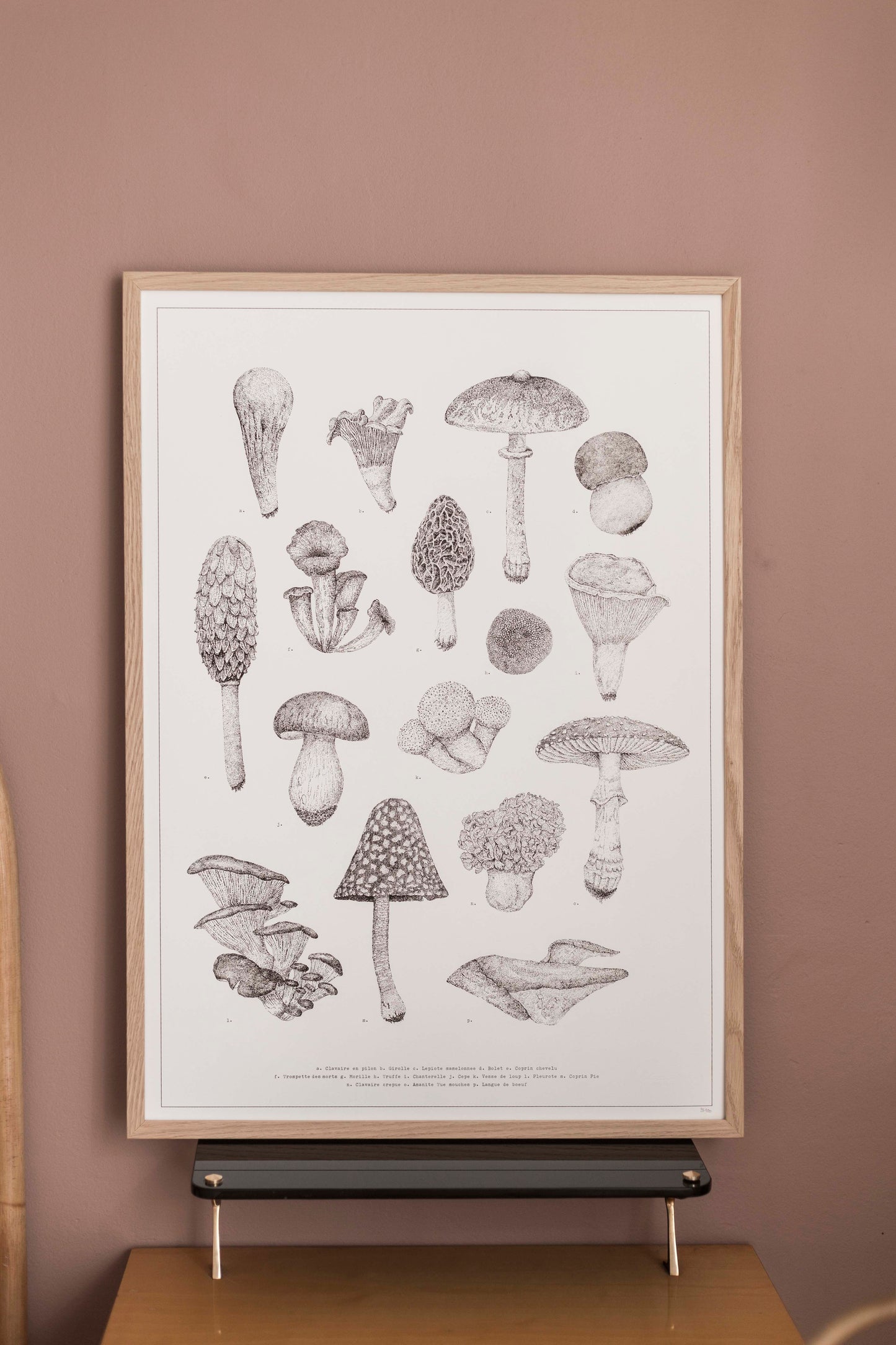 Champignons - Sérigraphie 30x40 & 50x70cm