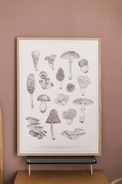 Champignons - Sérigraphie 30x40 & 50x70cm