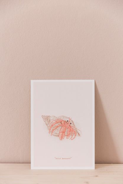 Salut Bernard - Carte Postale