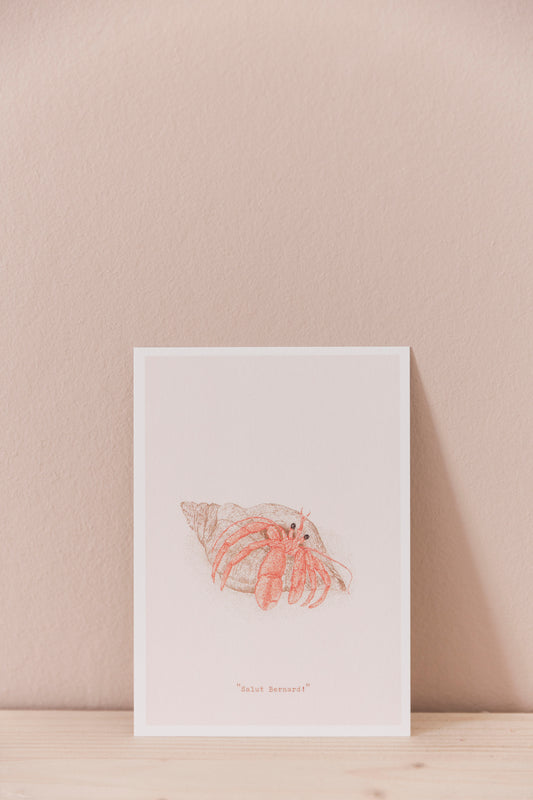 Salut Bernard - Carte Postale