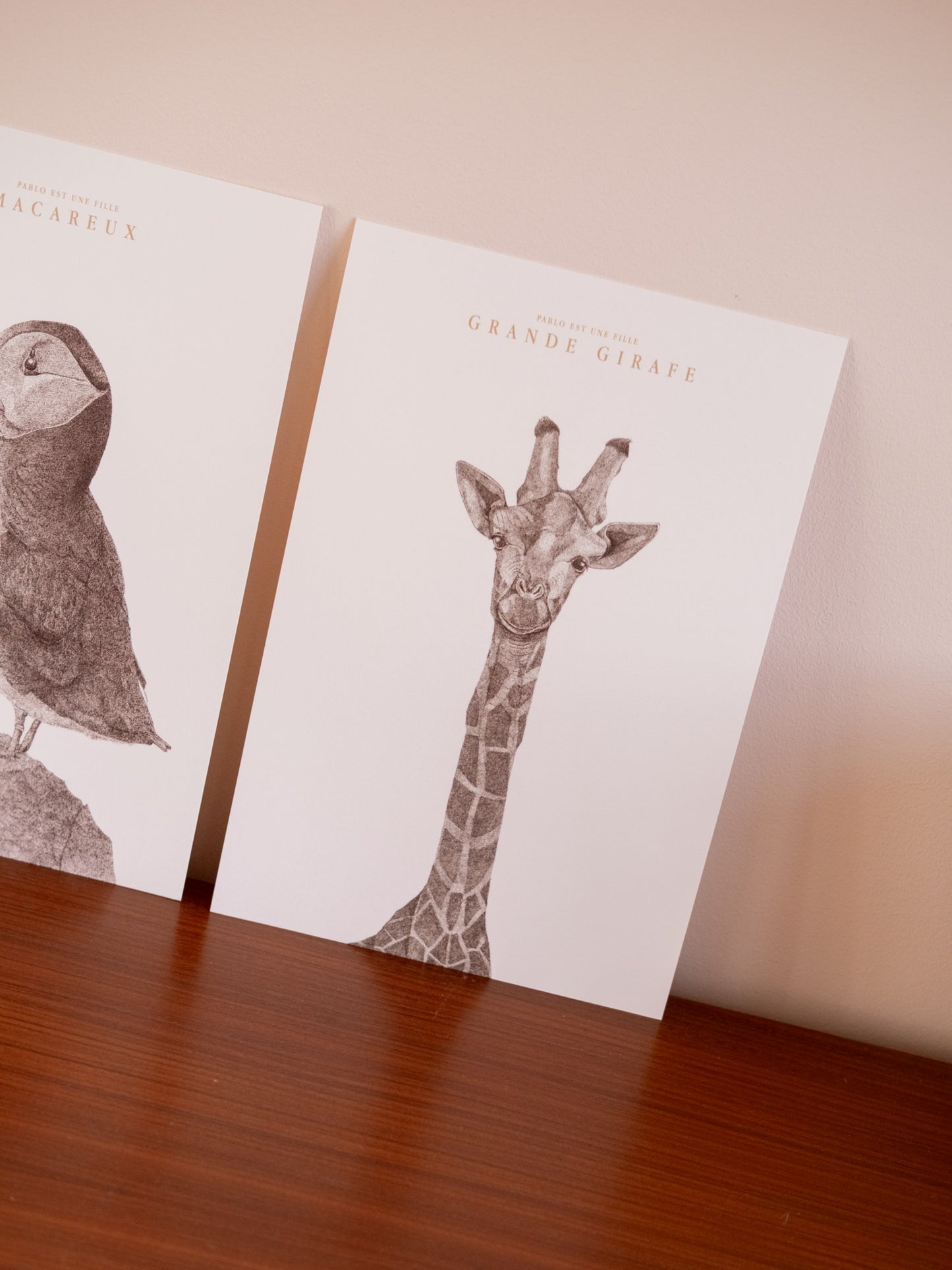 Affiche A4 Girafe noir et blanc 