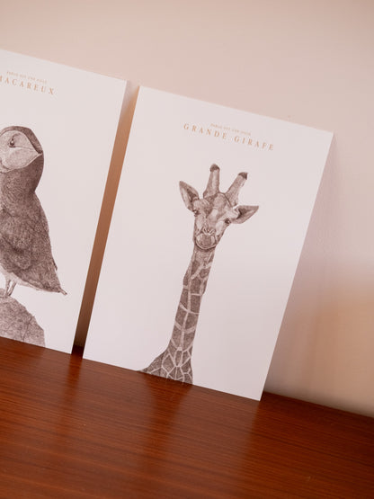 Affiche A4 Girafe noir et blanc 
