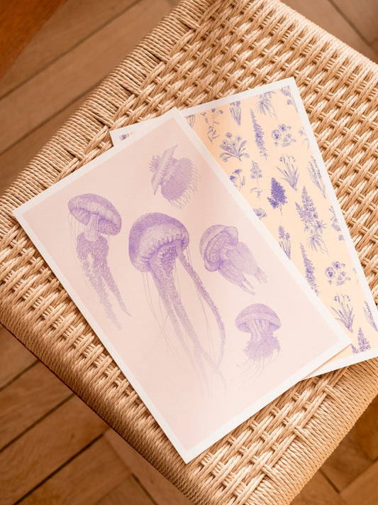 Affiches A4 méduses et herbier