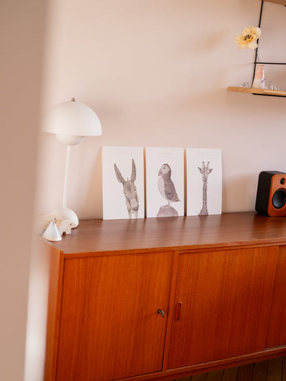 Affiche animaux pour chambre d'enfants