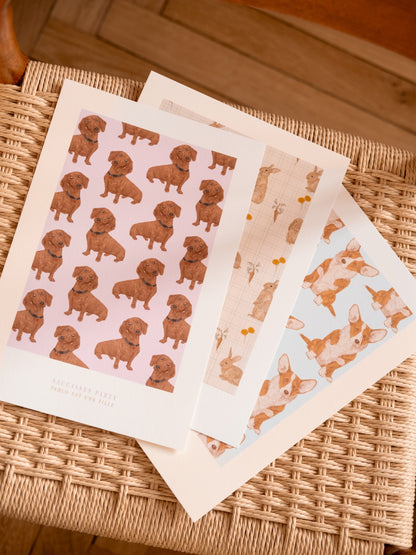 Affiche animaux mignons