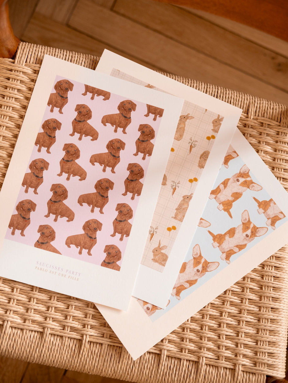 Affiches illustrées animaux Pablo est une fille – teckels, lapins et corgis sur chaise osier