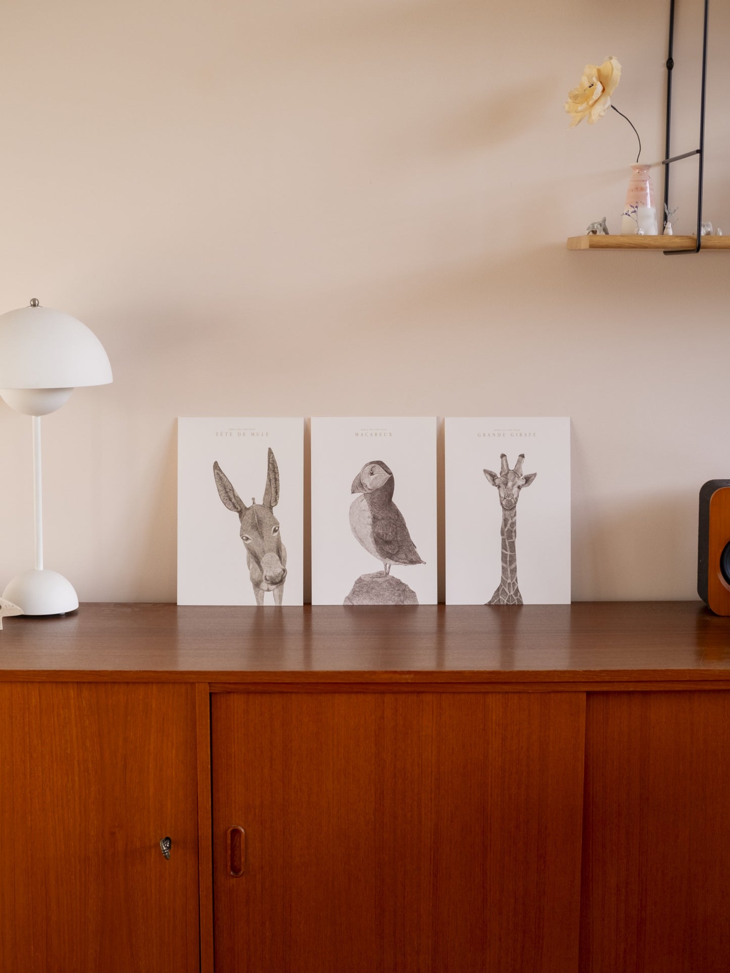 Affiches animaux noir et blanc 