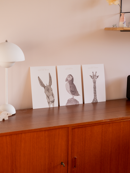 Affiches animaux noir et blanc pour chambre d'enfant