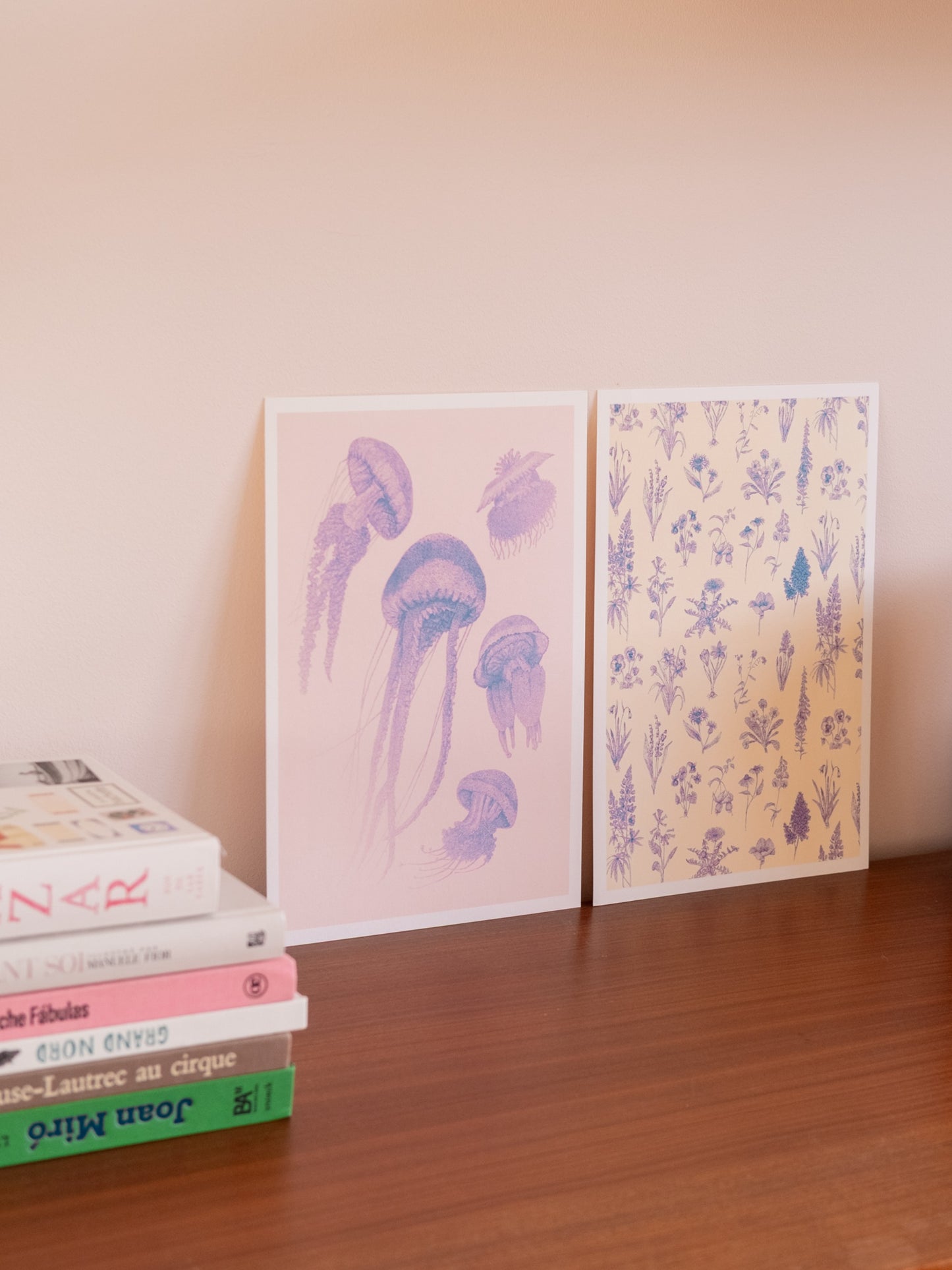 Affiches illustrées méduses et herbier