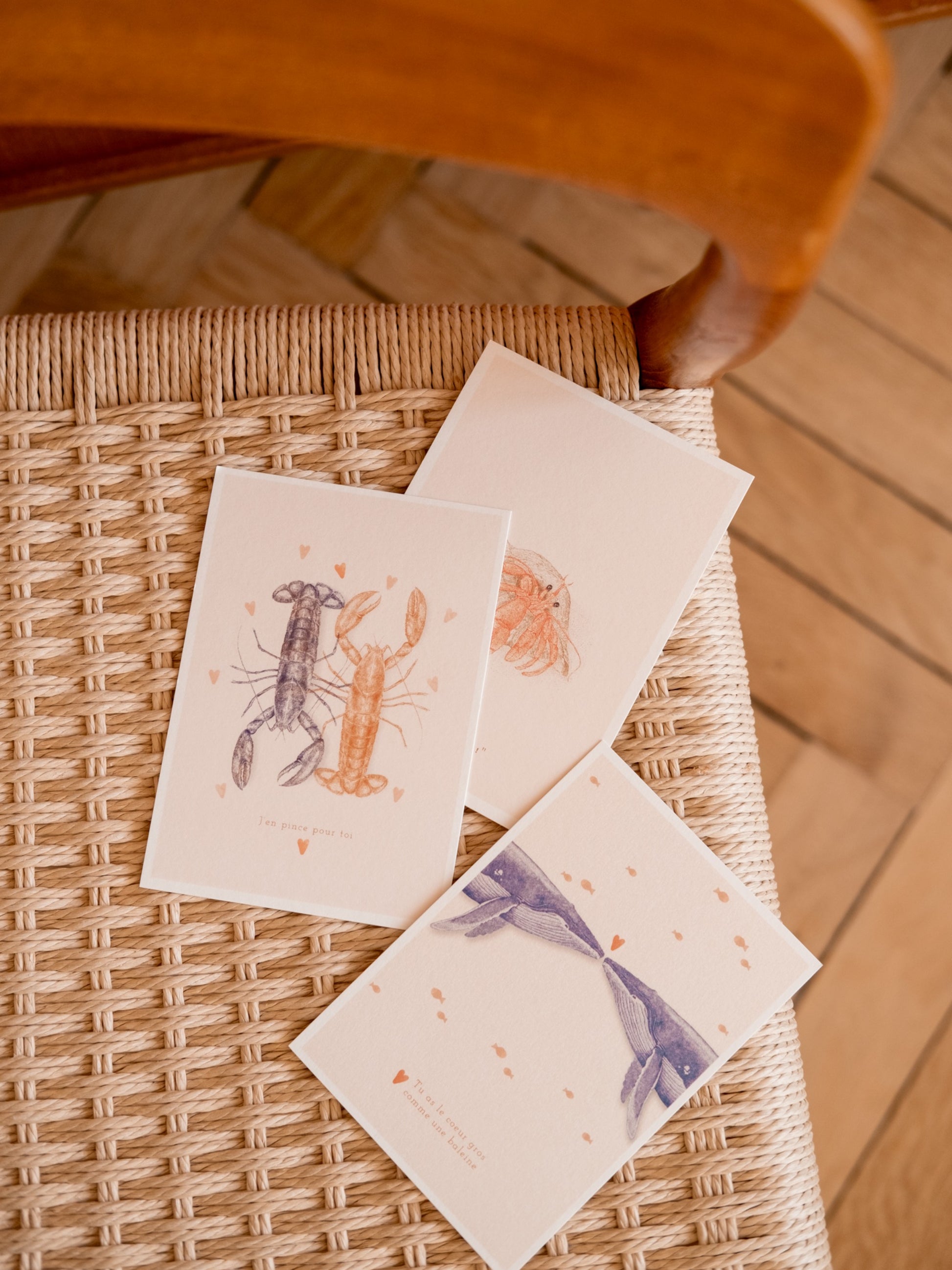 Cartes postales bord de mer. Animaux marins et crustacés