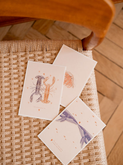 Cartes postales bord de mer. Animaux marins et crustacés