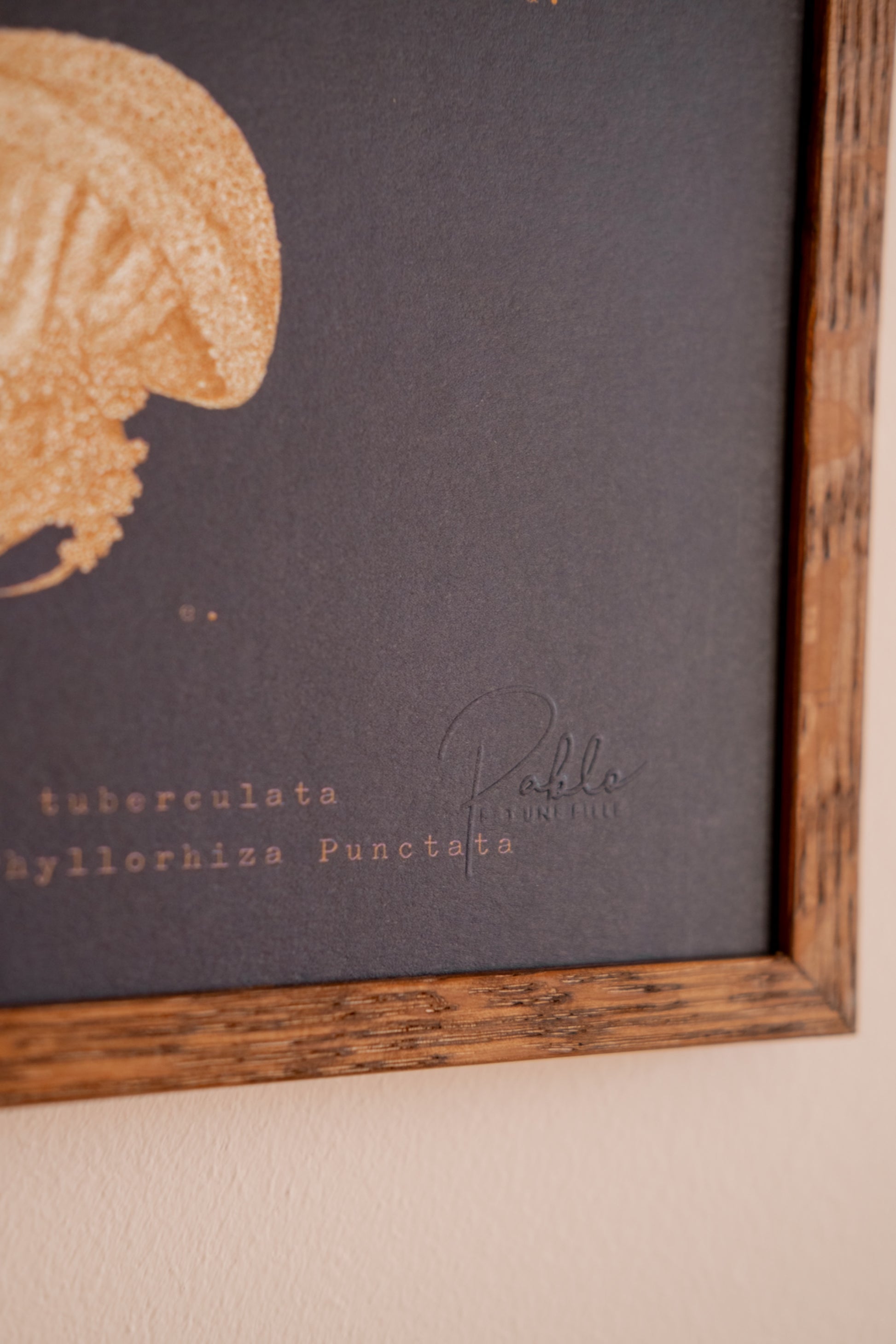 Détail signature embossée