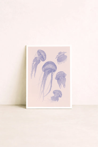 Méduses - Affiche 20x30cm