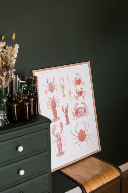 Poster bord de mer, crustacés