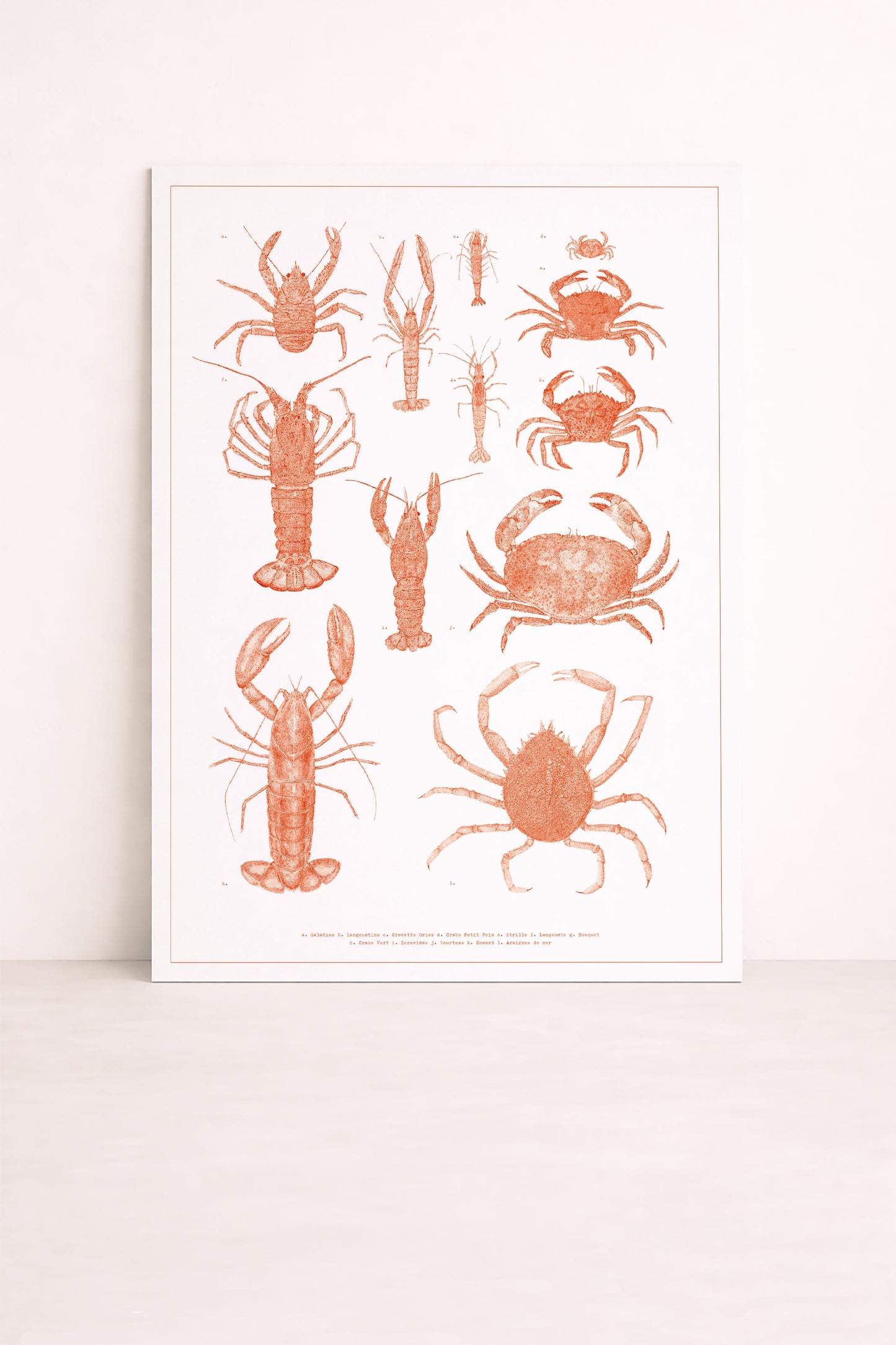 Sérigraphie naturaliste d'une planche de crustacés
