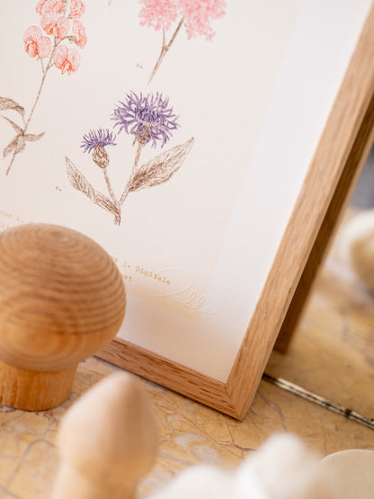 Signature embossée herbier pointilliste