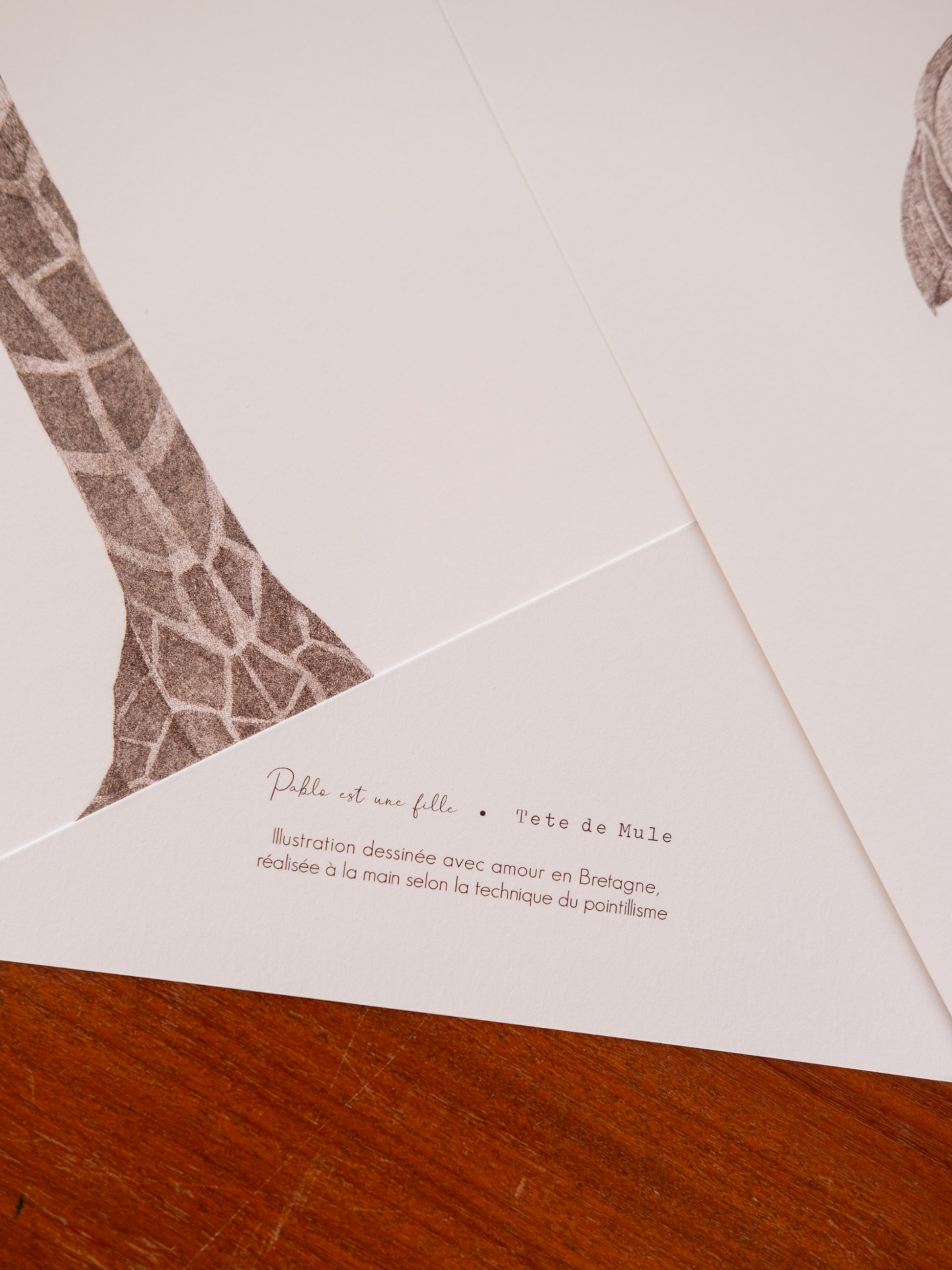 Verso affiche a4 animaux