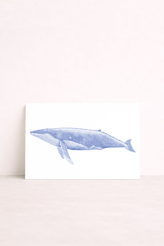 Affiche illustrée d'une baleine bleue en pointillisme par Pablo est une fille