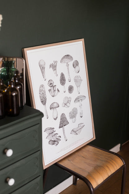 Sérigraphie de champignons en noir et blanc