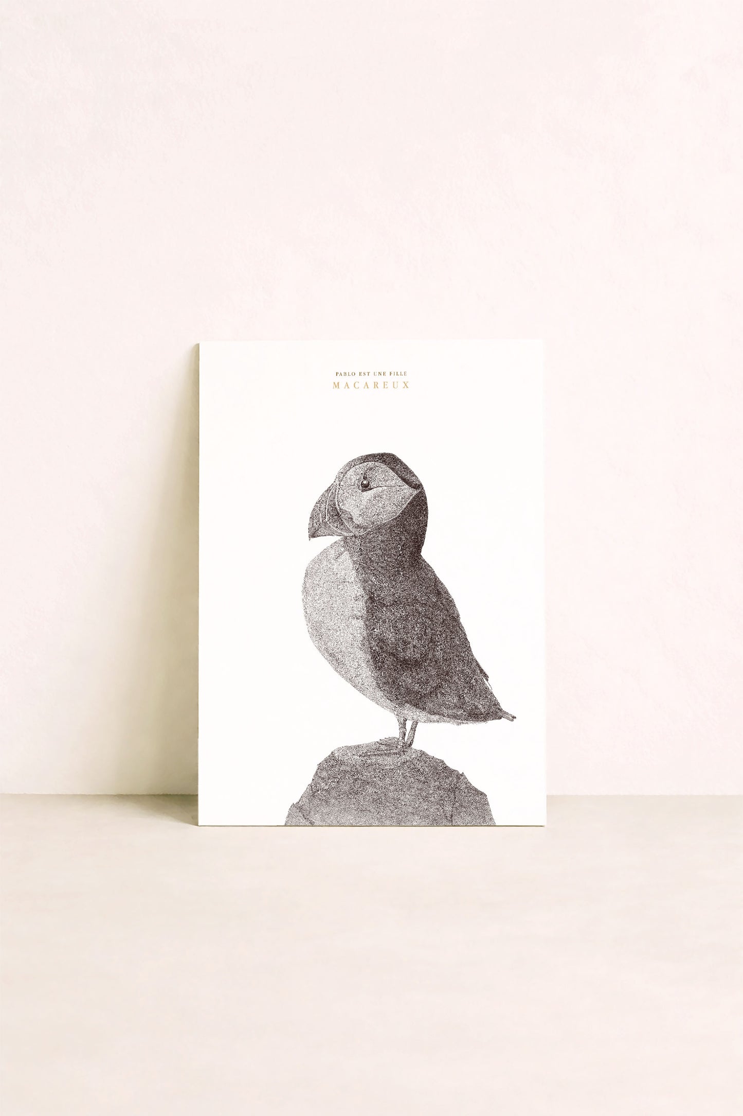 Affiche d'un macareux, oiseau marin