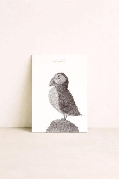 Affiche d'un macareux, oiseau marin