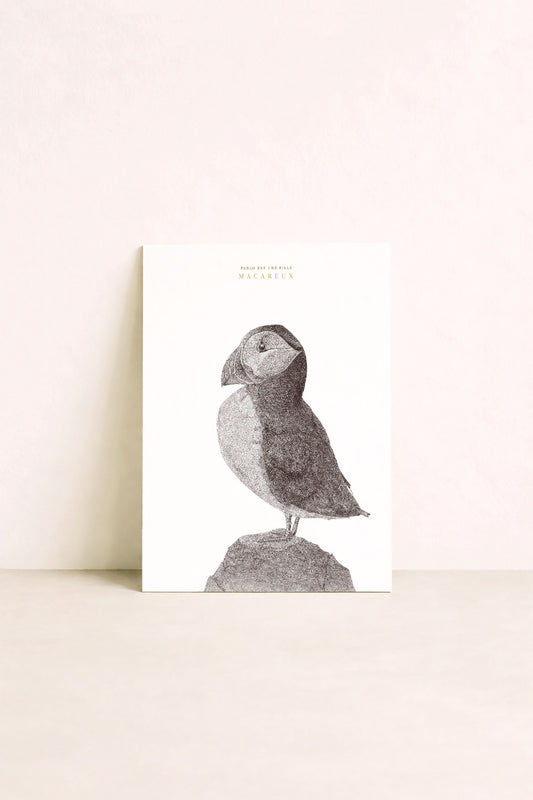 Affiche d'un macareux, oiseau marin