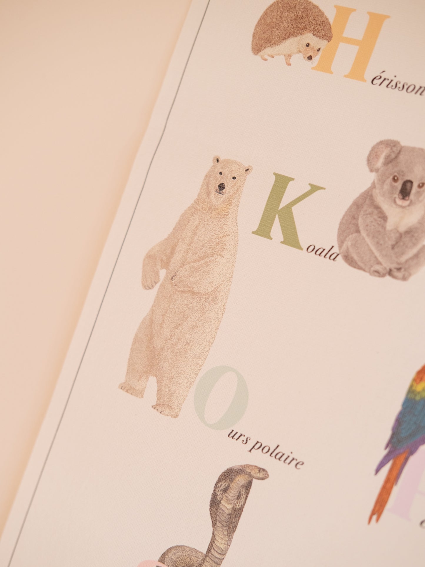 Affiche pédagogique abécédaire animaux