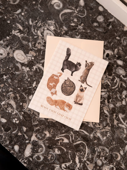 Carte postale illustrée de chats sur fond à carreaux, photographiée sur un marbre sombre — Pablo est une fille