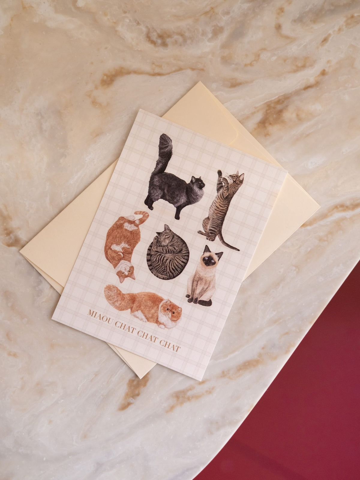 Carte postale illustrée de six chats sur fond à carreaux, accompagnée d’une enveloppe ivoire — Pablo est une fille