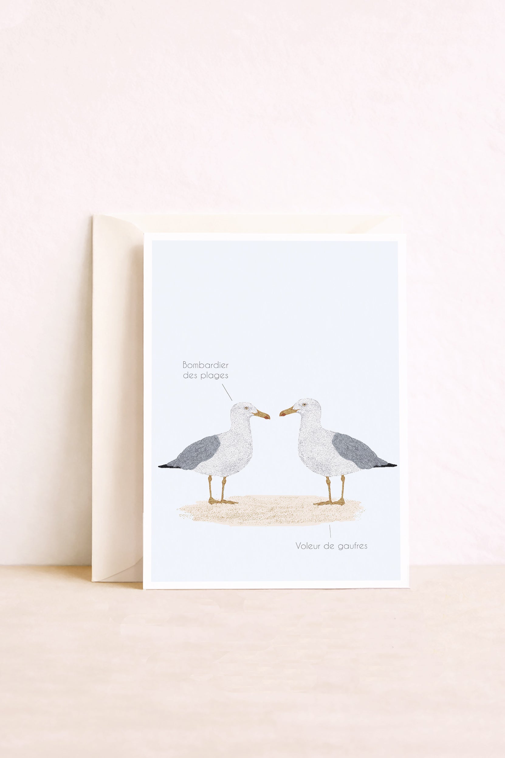 carte postale goélands. Illustratrion Bretagne bord de mer