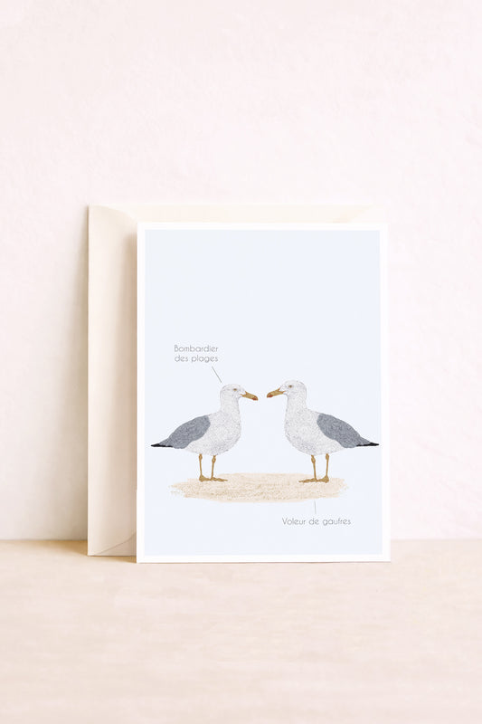 carte postale goélands. Illustratrion Bretagne bord de mer