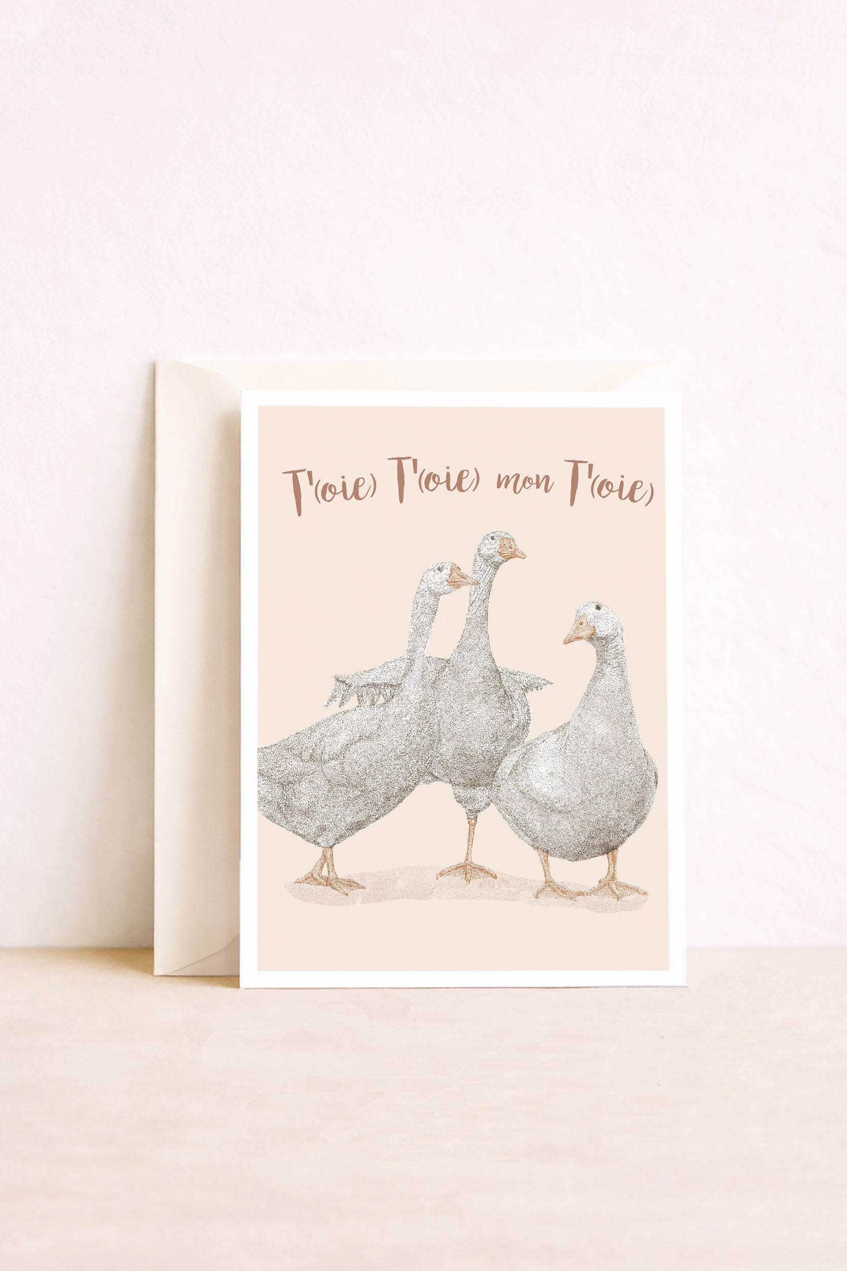Carte postale Oies, toi toi mon toit