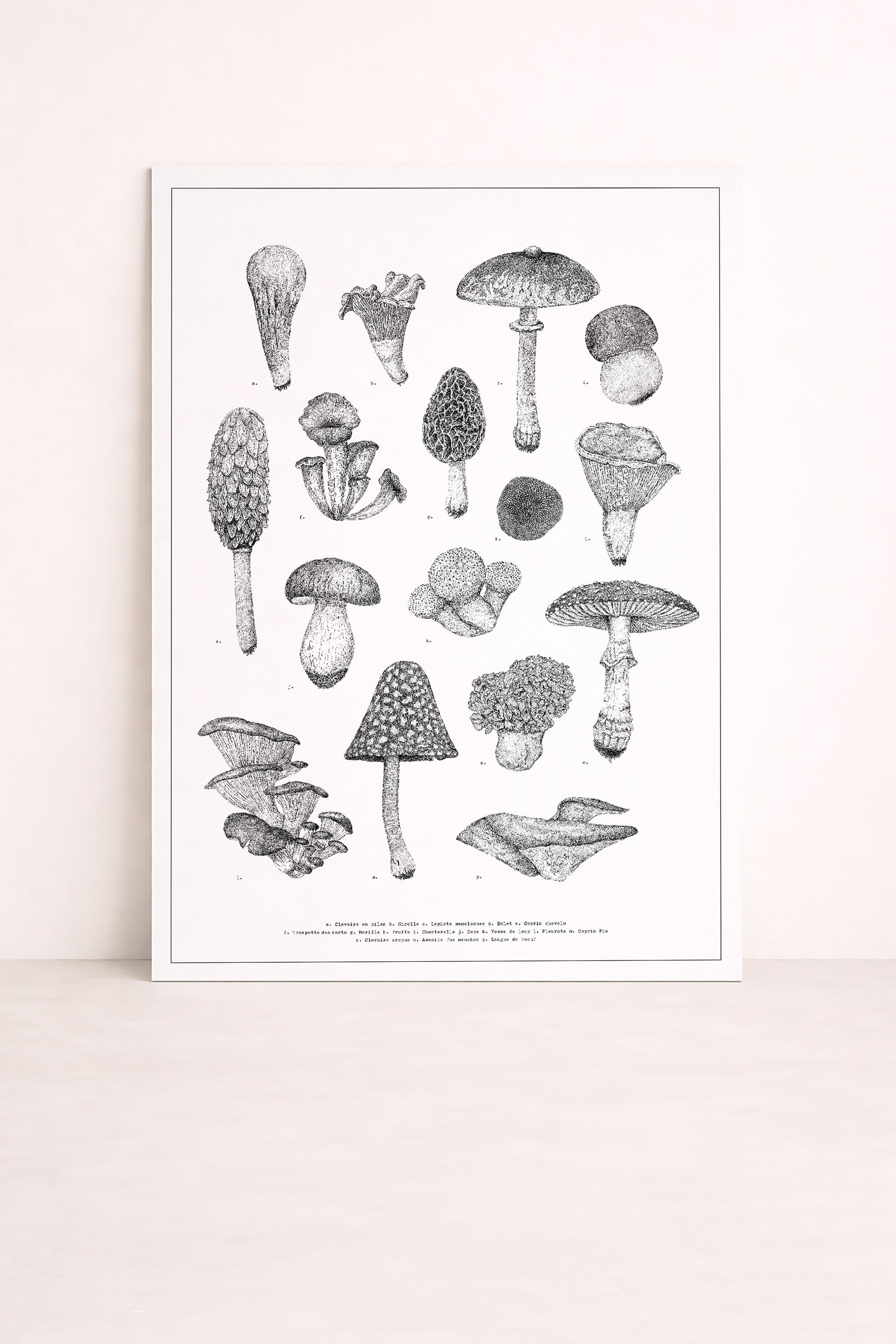 Sérigraphie d'une planche de champignons