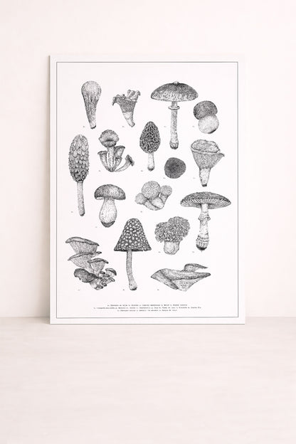Sérigraphie d'une planche de champignons