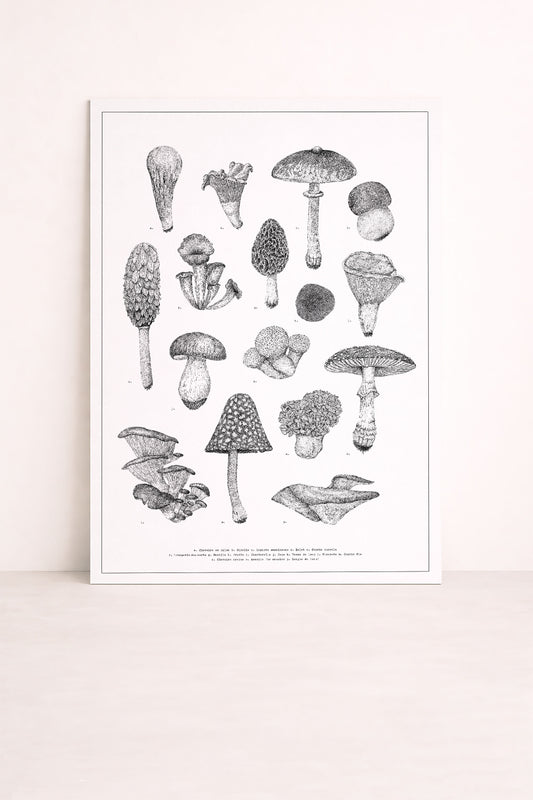 Sérigraphie d'une planche de champignons