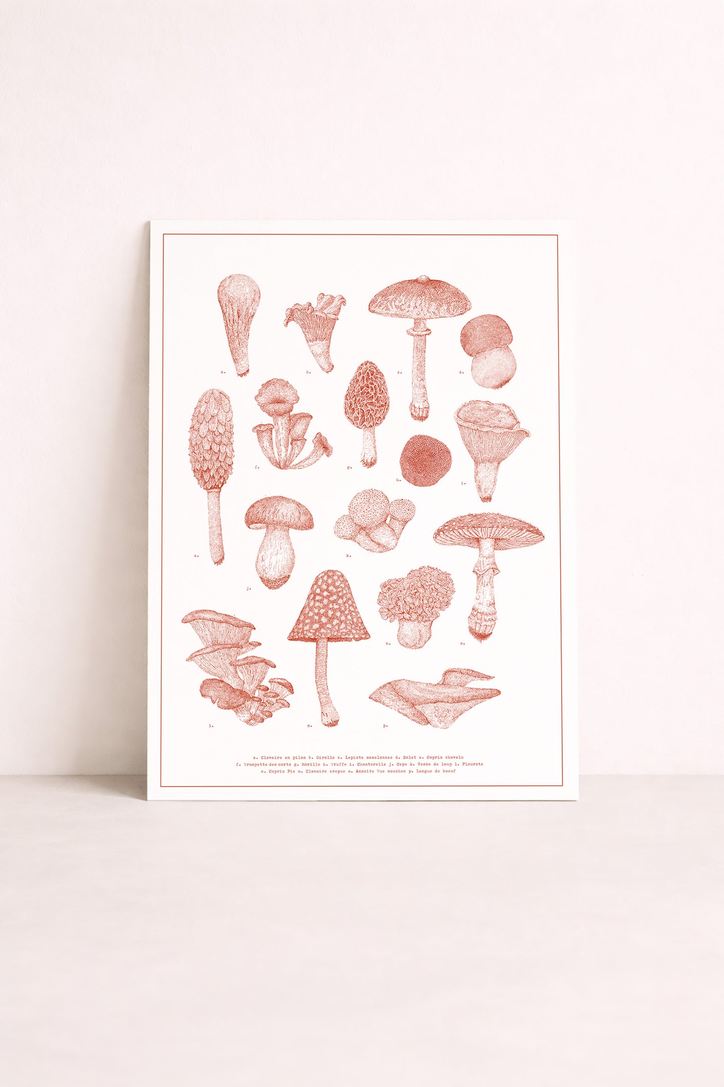 Sérigraphie de champignons en pointillisme par Pablo est une fille
