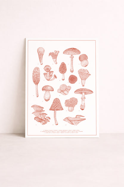 Sérigraphie de champignons en pointillisme par Pablo est une fille