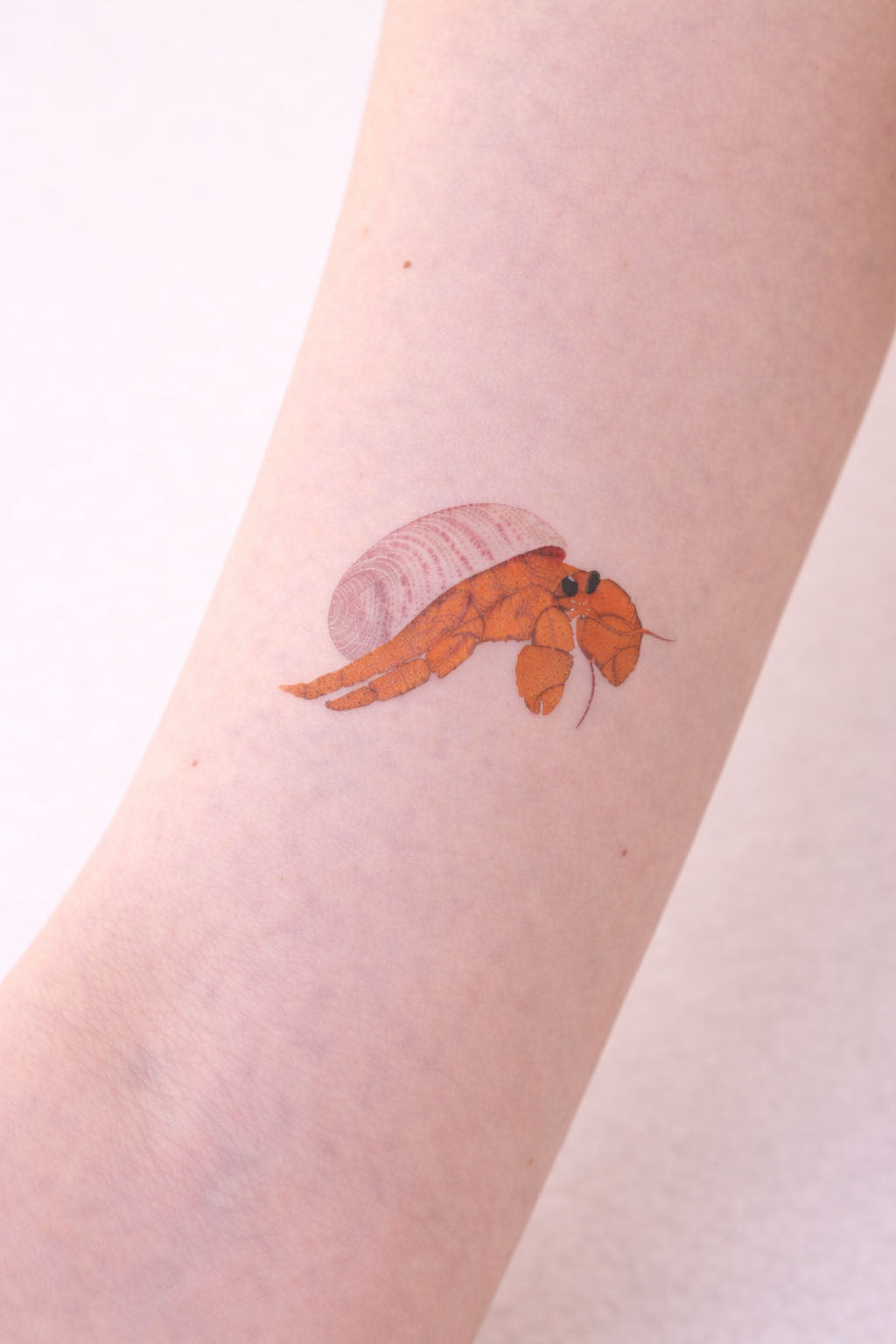 Tatouage éphémère Bernard l'ermite