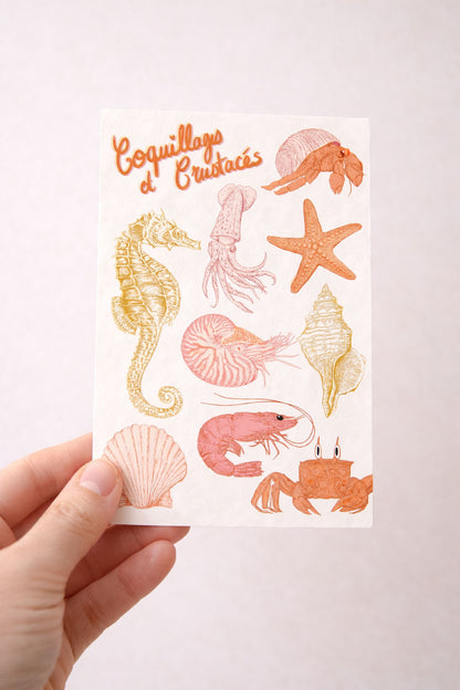 tattoos temporaires coquillages et crustacés