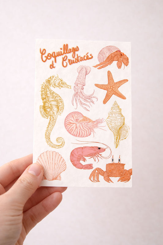 tattoos temporaires coquillages et crustacés